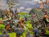 Conquest: W’adrhŭn Warband 2026 First Blood New Edition