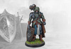Conquest: Hundred Kingdoms Errant of the Order of the Shield
