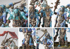 Conquest: Nords Trolls